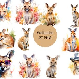 Aquarell Wallabies Clipart, digitale PNG-Dateien auf einem transparenten Hintergrund, Scrapbook, Sublimation, kommerzielle Nutzung