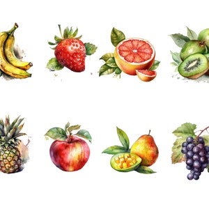 Paquete de frutas, acuarela, imágenes prediseñadas, 16 hermosas imágenes PNG, fondo transparente, 12x12, uso comercial