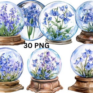 30 Bluebell in Crystal Ball Watercolor Clipart, Floral Clipart, PNG digital files on transparent background, sublimation, commercial use