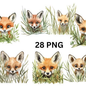 Ensemble de cliparts aquarelle adorable renard dans l'herbe - 28 images PNG de mignons bébés renards dans la nature, images individuelles PNG sur fond transparent