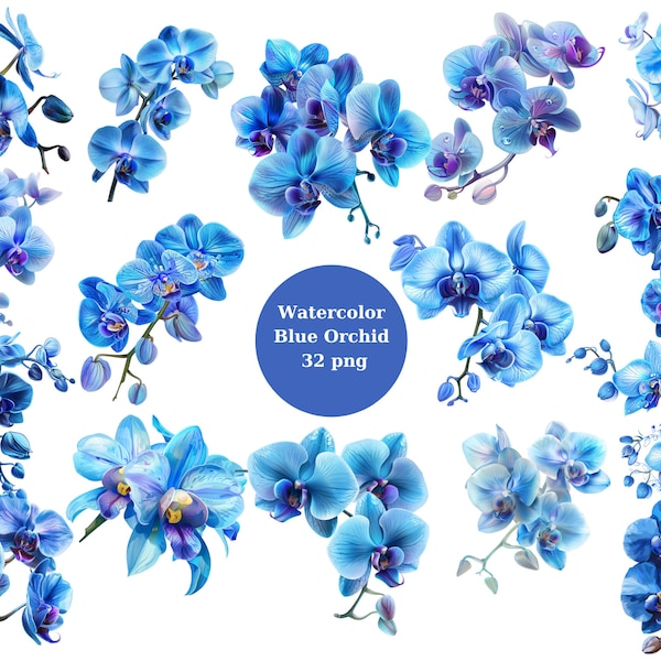 Aquarelle orchidée bleue Clipart, images individuelles PNG sur fond transparent, sublimation, usage commercial