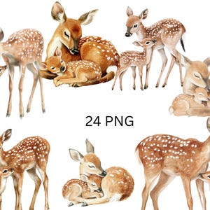 Mutter und Baby Hirsch-Clipart-Sammlung - 24 PNG-Bilder von Hirschfamilien, PNG-Einzelbilder auf transparentem Hintergrund, Sublimation
