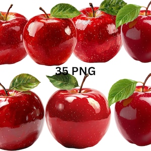 35 Red Apple Clipart Bundle, Fresh Fruit PNG, Realistic Apple PNG Bundle, Transparent Background,Commercial Use, Instant Download