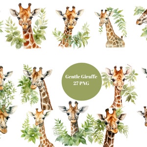 27 zachte Giraffe aquarel clipart, dieren clipart, individuele PNG-afbeeldingen op transparante achtergrond, sublimatie, commercieel gebruik