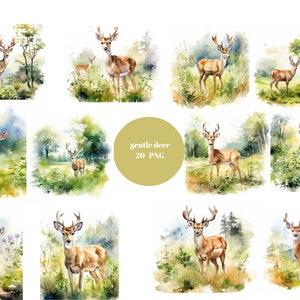 20 zachte herten aquarel clipart, bos clipart, individuele PNG-afbeeldingen op transparante achtergrond, sublimatie, commercieel gebruik