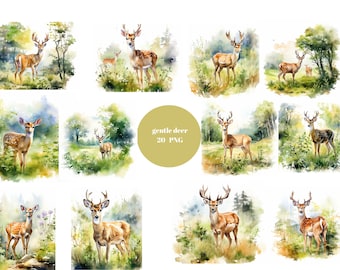20 sanfte Hirsch Aquarell Clipart, Wald Clipart, PNG einzelne Bilder auf transparentem Hintergrund, Sublimation, kommerzielle Nutzung