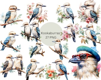 Watercolor Kookaburras Clipart, PNG digital files on a transparent background, scrapbook, invitations