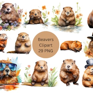 Clipart di castori dell'acquerello, file digitali PNG su sfondo trasparente, sublimazione, uso commerciale