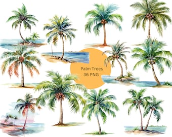 Könnte beinhalten: Aquarellmalerei von 36 Palmen in verschiedenen Posen, mit grünen Blättern und braunen Stämmen. Die Bäume stehen vor einem weißen Hintergrund mit einem blauen Meer und einem gelben Kreis mit dem Text "Palm Trees 36 PNG".