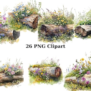 26 fleurs sauvages sur des bûches Clipart aquarelle, clipart floral, images individuelles PNG sur fond transparent, sublimation