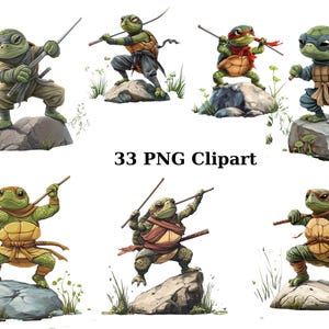 33 Turtle Ninjas clipart, dieren clipart, individuele png-afbeeldingen op transparante achtergrond, sublimatie