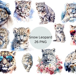 Pode incluir: Um conjunto de 26 ilustrações digitais de pinturas em aquarela que apresentam leopardos-das-neves em várias poses. Os leopardos-das-neves são retratados em uma variedade de ambientes, incluindo montanhas nevadas, florestas e campos. Alguns dos leopardos-das-neves usam óculos de sol ou chapéus. As ilustrações são perfeitas para uso em uma variedade de projetos criativos, como scrapbooking, criação de cartões e arte digital.