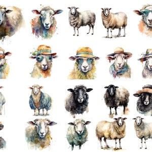 Bundle de moutons, animaux de la ferme, aquarelle, 32 images PNG, fond transparent, clipart, haute qualité, 12 x 12, utilisation commerciale