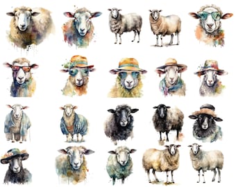 Sheep Bundle, Farm Animals, Watercolour, 32 PNG images, transparent background, clipart, high quality, 12x12, commercial use