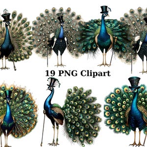 19 Gentleman Peacocks Aquarell Clipart, Tiere Clipart, PNG einzelne Bilder auf transparentem Hintergrund, Sublimation