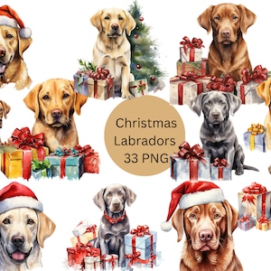 Aquarelle Christmas Labradors Clipart, fichiers numériques PNG sur fond transparent, sublimation, utilisation commerciale