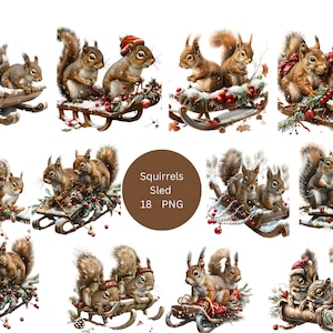 18 écureuils sur traîneau Clipart, clipart Noël, images individuelles PNG sur fond transparent, sublimation