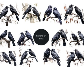 14 Ravens on Branch Watercolor Clipart, Gothic Clipart, PNG individual images on transparent background, sublimation