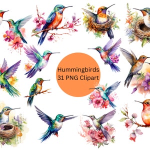 Aquarell Kolibri Clipart, digitale PNG-Dateien auf transparentem Hintergrund, Scrapbook, Einladungen, kommerzielle Nutzung, sofortiger Download