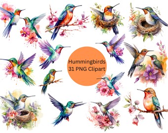Imágenes Prediseñadas de colibríes de acuarela, archivos digitales PNG sobre fondo transparente, álbum de recortes, invitaciones, uso comercial, descarga instantánea