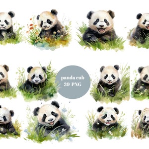 39 Panda Cubs aquarel clipart, dieren clipart, individuele PNG-afbeeldingen op transparante achtergrond, sublimatie, commercieel gebruik