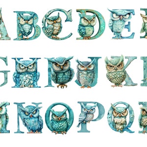 Aquarell Angry Owl Alphabet, Eulen-Sofort-Download für kommerzielle Nutzung, hohe Auflösung, 12x12