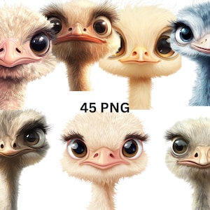 Cute Ostrich Clipart Set – 45 PNG, Kawaii Ostrich Faces, Farm Bird Stickers, Digital Download, Transparent Background, Commercial Use