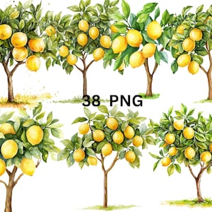 May include: Watercolor illustration of 38 lemon trees with yellow lemons and green leaves. The trees are isolated on a white background.