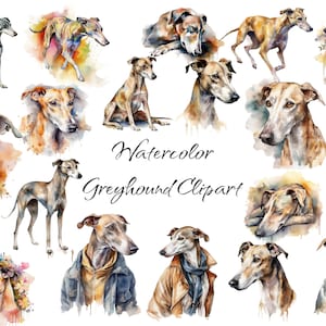 Clipart de lévriers aquarelle, fichiers numériques PNG sur fond transparent, album, invitations, utilisation commerciale, téléchargement immédiat