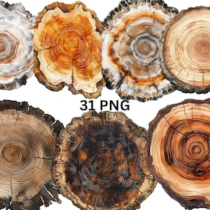31 Rustic Wood Slices Watercolor Clipart, PNG digital files on transparent background, sublimation, commercial use