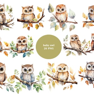 26 Baby Eulen Aquarell Clipart, niedliche Tiere Clipart, PNG einzelne Bilder auf transparentem Hintergrund, Sublimation