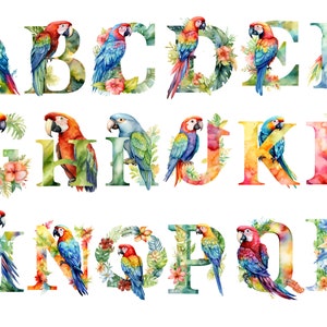 Alphabet perroquet, lettres png, alphabet png, téléchargement immédiat pour un usage commercial, haute résolution, 12 x 12, usage commercial