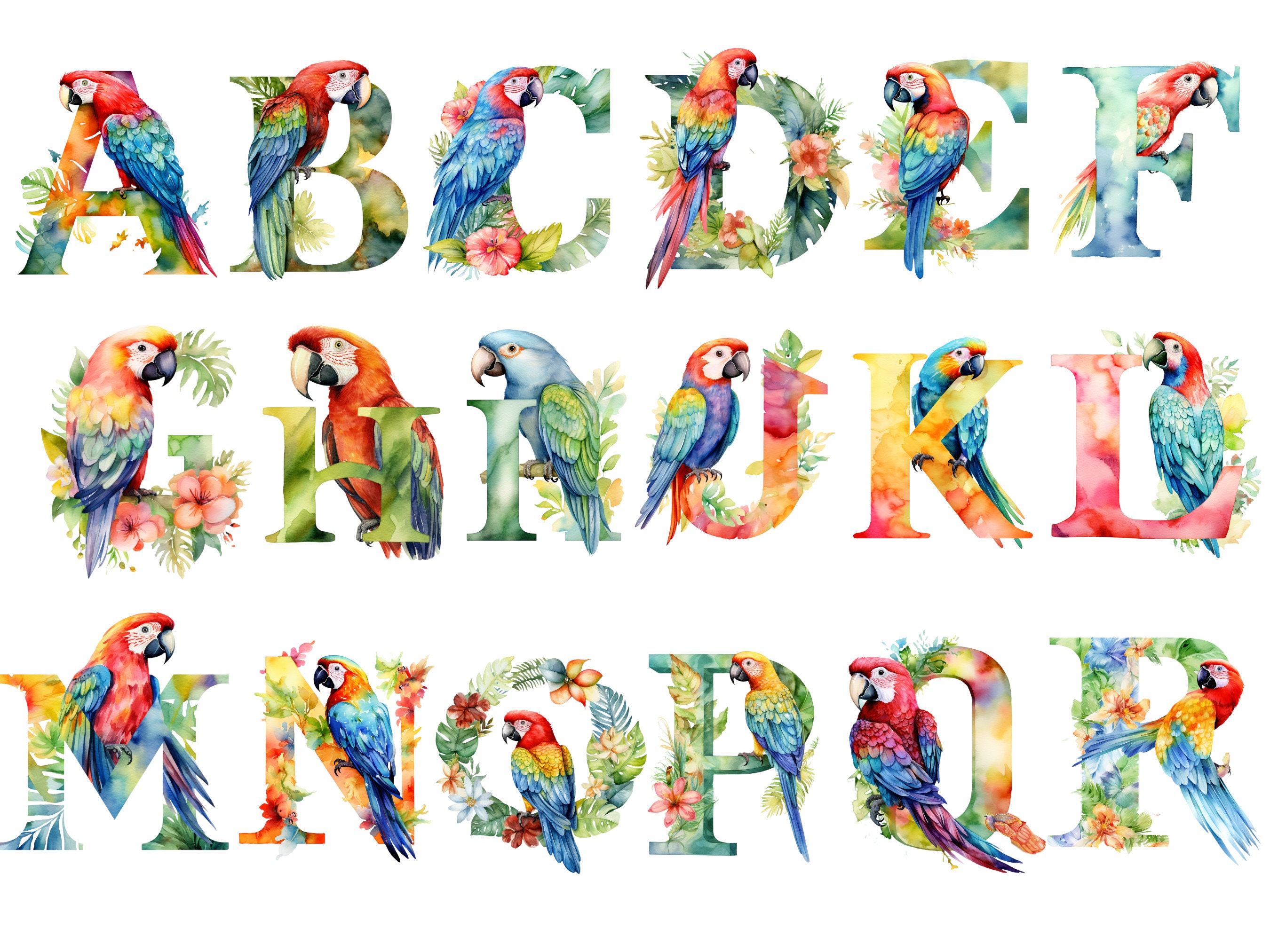 Parrot Alphabet, Letters Png, Alphabet Png, Instant Download for ...