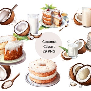 Coconut Clipart, PNG digital files on transparent background, sublimation, commercial use