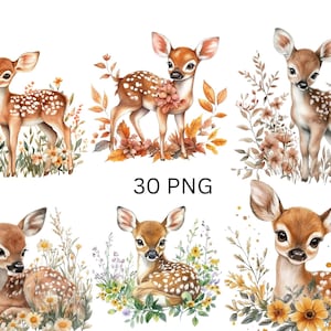 Clipartset Schattig bos fawn: 30 png-afbeeldingen van babyhert met bloemstukken, individuele png-afbeeldingen op transparante achtergrond