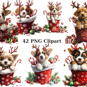 42 chiots de Noël en bas Clipart aquarelle, clipart Noël, images individuelles PNG sur fond transparent, sublimation