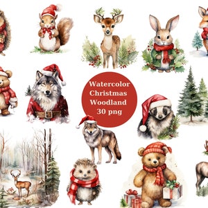 Woodland Christmas Clipart, Winter PNG, Forest Christmas Animals file digitali su sfondo trasparente, sublimazione, uso commerciale