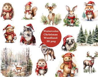 Woodland Christmas Clipart, Winter PNG, Forest Christmas Animals digitale bestanden op transparante achtergrond, sublimatie, commercieel gebruik