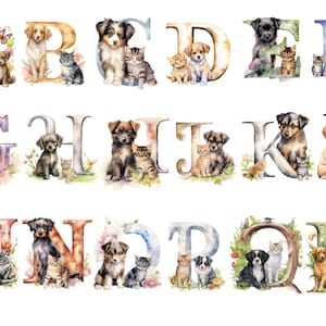 Alfabeto gatto e cane, lettere png, alfabeto png, download istantaneo per uso commerciale, alta risoluzione, 12x12, uso commerciale