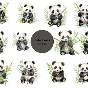 30 cliparts aquarelle bébé pandas, clipart panda mignon, images individuelles PNG sur fond transparent, sublimation, usage commercial