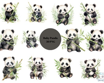 30 Baby Pandas Watercolor Clipart, Cute Panda Clipart, PNG individual images on transparent background, sublimation, commercial use