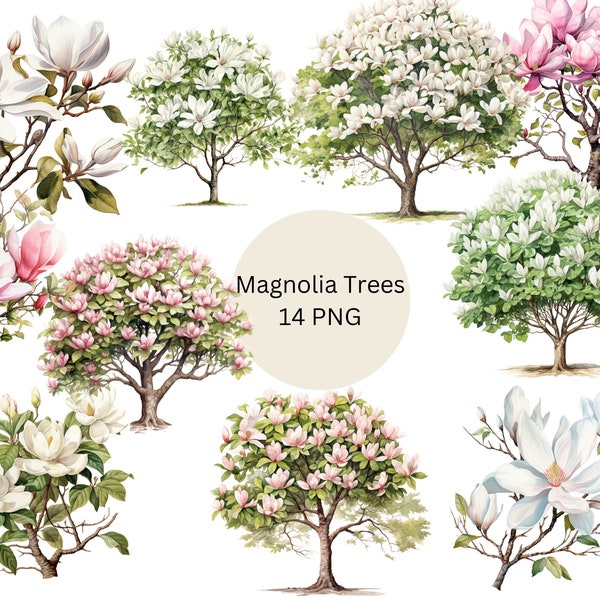 Watercolor Magnolia Trees Clipart, PNG digital files on transparent background, sublimation, commercial use