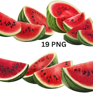 Watermelon Slice Clipart, 19 Realistic Summer Fruit PNG, individual images on transparent background, sublimation, commercial use