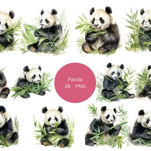 26 cliparts aquarelle de pandas, clipart animaux, images individuelles PNG sur fond transparent, sublimation