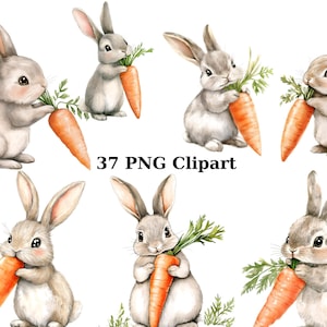37 Coelhinhos com Cenouras Clipart em Aquarela, Clipart de Coelhinho, imagens individuais PNG em fundo transparente, sublimação