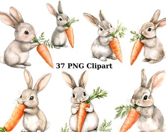 37 Conejitos con zanahorias Clipart de acuarela, Clipart de conejito, imágenes PNG individuales sobre fondo transparente, sublimación