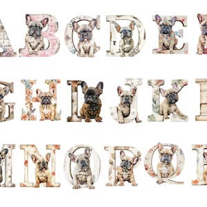 Franse bulldog alfabet, letters png, alfabet png, instant download voor commercieel gebruik, hoge resolutie, 12x12, commercieel gebruik