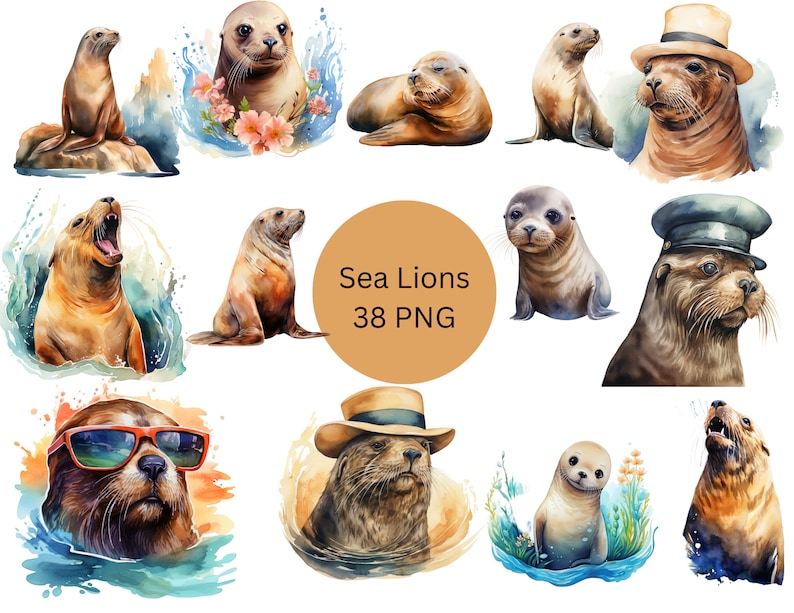 May include: A collection of 38 watercolor illustrations of sea lions in various poses. The illustrations are set against a white background with watercolor washes in shades of blue and green.