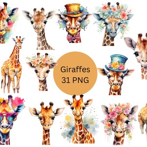 Acuarela Jirafas Clipart, archivos digitales PNG sobre fondo transparente, álbum de recortes, sublimación, uso comercial