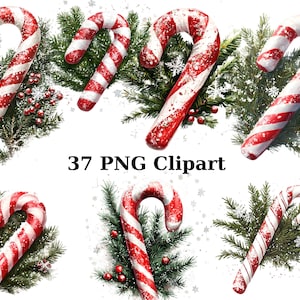 37 cliparts de cannes de bonbon de Noël, clipart Noël, images individuelles PNG sur fond transparent, sublimation